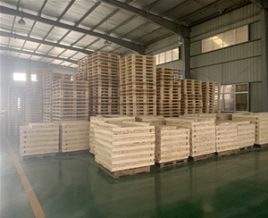 蕪湖塑料托盤(pán)運貨中有需要注意的事項嗎